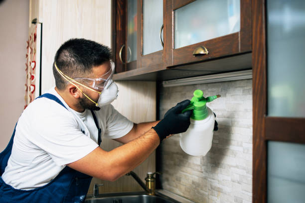 Best Pest Prevention Services  in Murfreesboro, AR