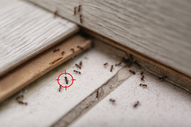 Best Wildlife Control Services  in Murfreesboro, AR