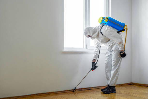Pest Prevention Services in Murfreesboro, AR