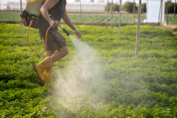 Best Mosquito Control Services  in Murfreesboro, AR