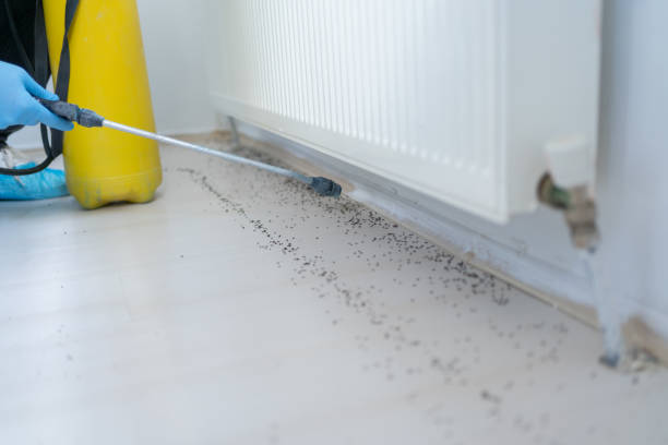 Best Exterminator Services  in Murfreesboro, AR