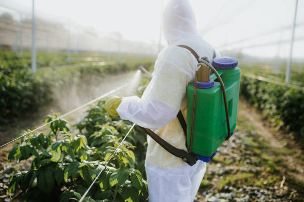 Pest Control Cost in Murfreesboro, AR